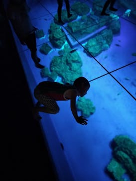 DMMかりゆし水族館に投稿された画像（2024/10/15）