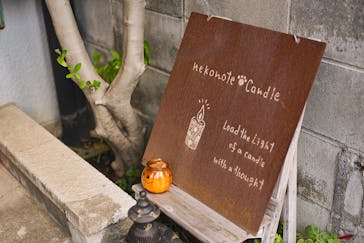 nekonoteキャンドルに投稿された画像（2024/10/15）