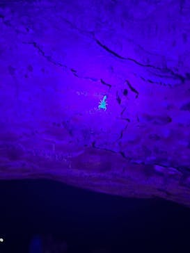 西表島 ADVENTURE PiPi（アドベンチャーピピ）に投稿された画像（2024/10/15）