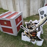 ニジゲンノモリに投稿された画像（2024/10/16）