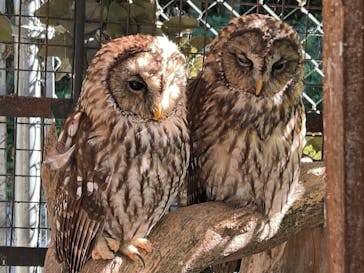 しろとり動物園に投稿された画像（2024/10/15）