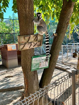しろとり動物園に投稿された画像（2024/10/15）