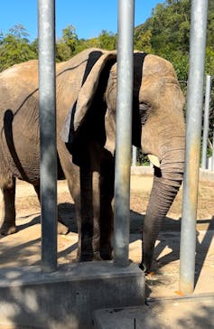 しろとり動物園に投稿された画像（2024/10/15）