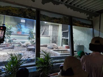 名古屋市東山動植物園に投稿された画像（2024/10/16）