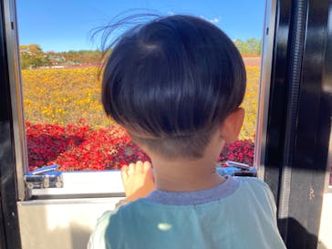 牧歌の里に投稿された画像（2024/10/16）