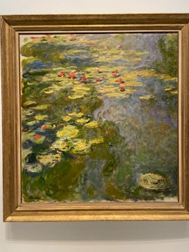 モネ 睡蓮のとき（国立西洋美術館）に投稿された画像（2024/10/16）