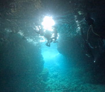 武藤潜水に投稿された画像（2024/10/16）