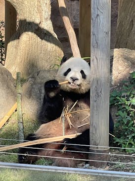 恩賜上野動物園に投稿された画像（2024/10/16）