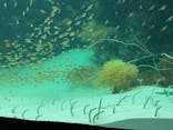 環境水族館アクアマリンふくしまに投稿された画像（2024/10/16）