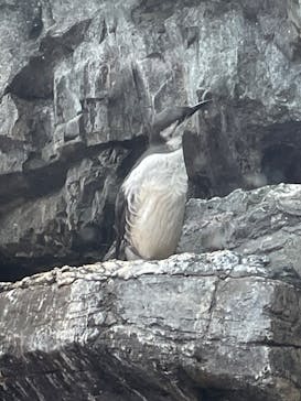 環境水族館アクアマリンふくしまに投稿された画像（2024/10/16）