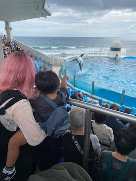 鴨川シーワールドに投稿された画像（2024/10/16）