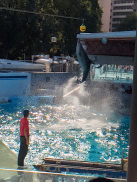 しながわ水族館に投稿された画像（2024/10/16）