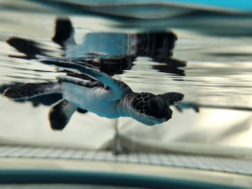 名古屋港水族館に投稿された画像（2024/10/16）