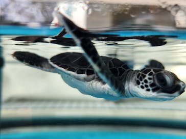 名古屋港水族館に投稿された画像（2024/10/16）