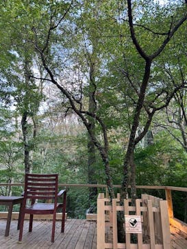 モダン湯治 おんりーゆーに投稿された画像（2024/10/16）