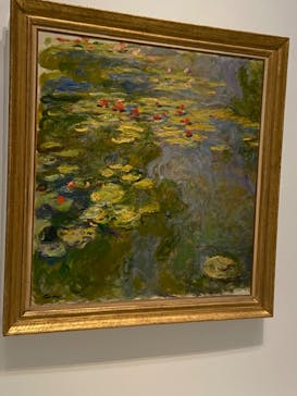 モネ 睡蓮のとき（国立西洋美術館）に投稿された画像（2024/10/16）