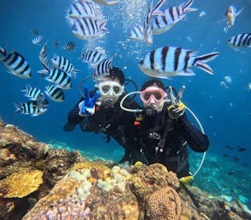 青の洞窟専門店　沖縄ダイビングショップ和に投稿された画像（2024/10/16）