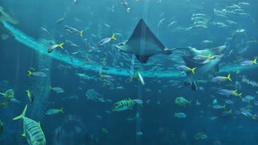 鴨川シーワールドに投稿された画像（2024/10/16）