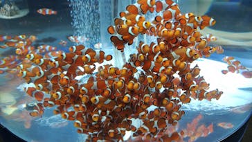 鴨川シーワールドに投稿された画像（2024/10/16）