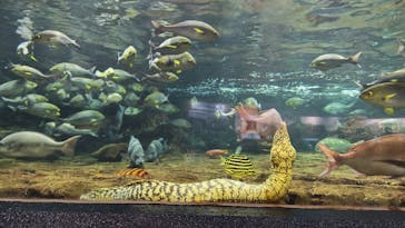 鴨川シーワールドに投稿された画像（2024/10/16）