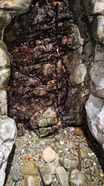 鴨川シーワールドに投稿された画像（2024/10/16）