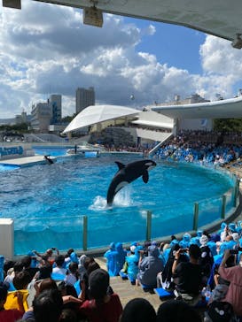 鴨川シーワールドに投稿された画像（2024/10/16）