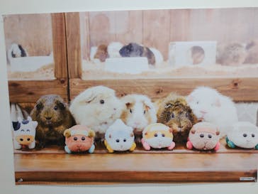 成田ゆめ牧場に投稿された画像（2024/10/16）