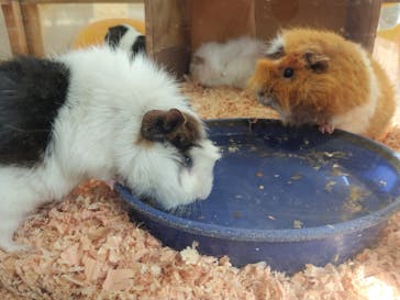 成田ゆめ牧場に投稿された画像（2024/10/16）