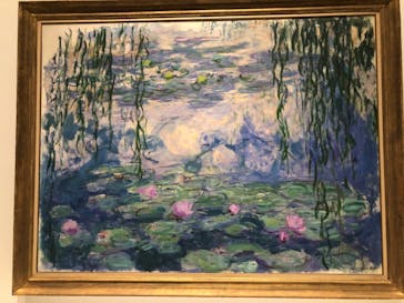 モネ 睡蓮のとき（国立西洋美術館）に投稿された画像（2024/10/16）