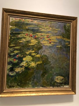 モネ 睡蓮のとき（国立西洋美術館）に投稿された画像（2024/10/16）