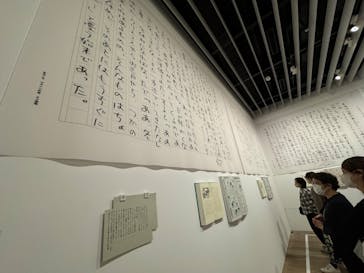 さくらももこ展　@森アーツセンターギャラリーに投稿された画像（2024/10/16）