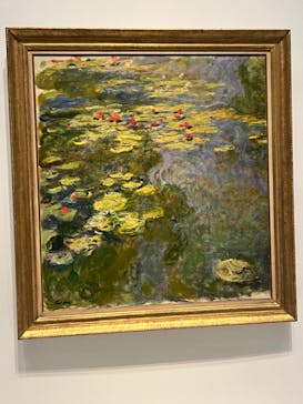 モネ 睡蓮のとき（国立西洋美術館）に投稿された画像（2024/10/16）