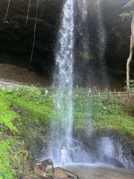 ジャパンだるまツアーに投稿された画像（2024/10/16）