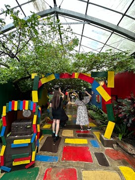 OKINAWAフルーツらんどに投稿された画像（2024/10/16）