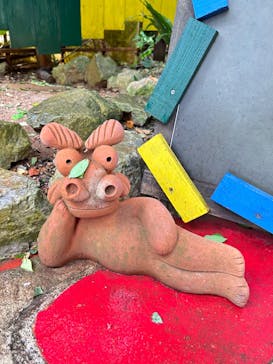 OKINAWAフルーツらんどに投稿された画像（2024/10/16）