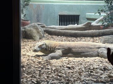 名古屋市東山動植物園に投稿された画像（2024/10/16）