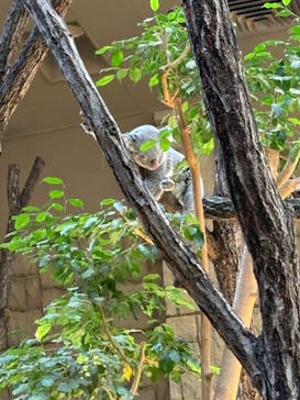名古屋市東山動植物園に投稿された画像（2024/10/16）
