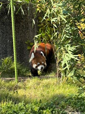 名古屋市東山動植物園に投稿された画像（2024/10/16）