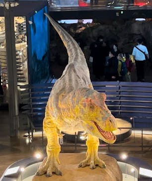 福井県立恐竜博物館に投稿された画像（2024/10/16）