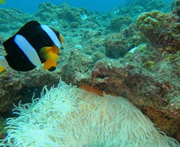 武藤潜水に投稿された画像（2024/10/16）