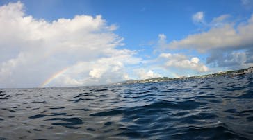 武藤潜水に投稿された画像（2024/10/16）