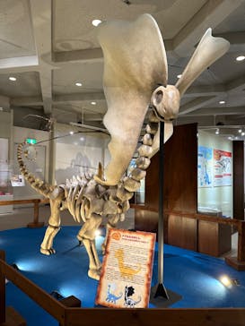 岐阜県博物館に投稿された画像（2024/10/16）