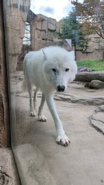 那須どうぶつ王国に投稿された画像（2024/10/16）