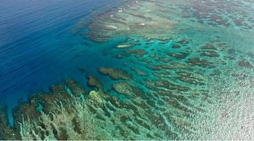 ブルーオーシャンクラブに投稿された画像（2024/10/16）