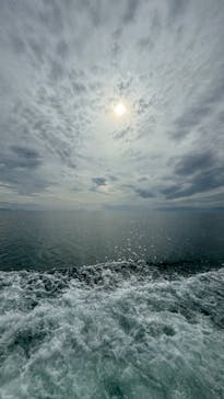 琵琶湖汽船に投稿された画像（2024/10/16）