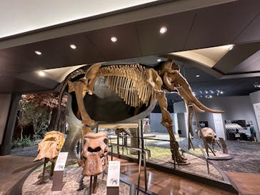 滋賀県立琵琶湖博物館に投稿された画像（2024/10/16）