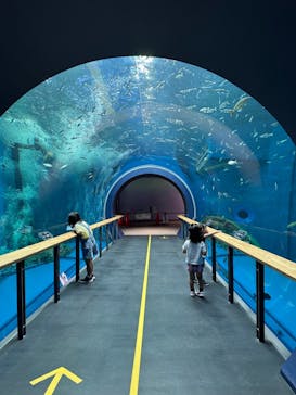 滋賀県立琵琶湖博物館に投稿された画像（2024/10/16）