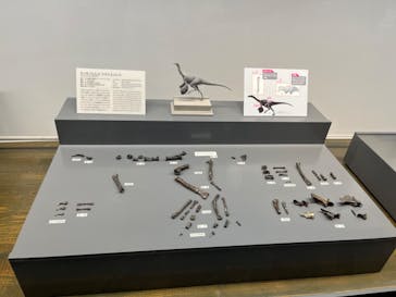 福井県立恐竜博物館に投稿された画像（2024/10/16）