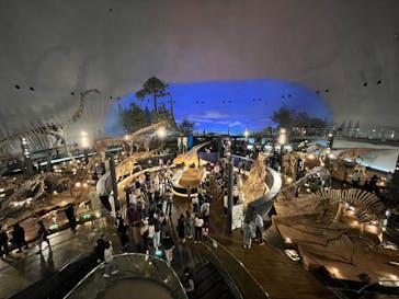 福井県立恐竜博物館に投稿された画像（2024/10/16）