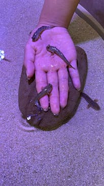 南知多ビーチランド＆南知多おもちゃ王国に投稿された画像（2024/10/16）